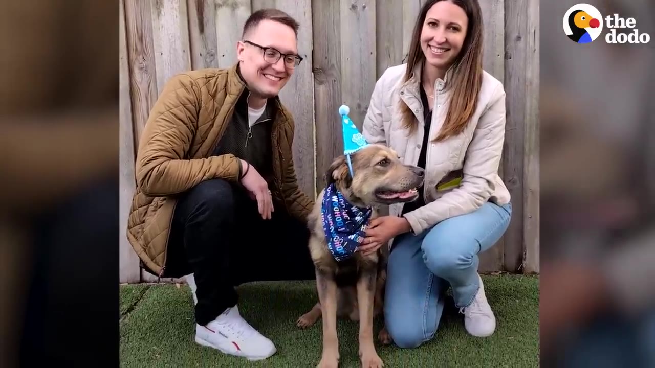 A dog wearing a party hat and bandana sitting outdoors between a man and a woman smiling at the camera.