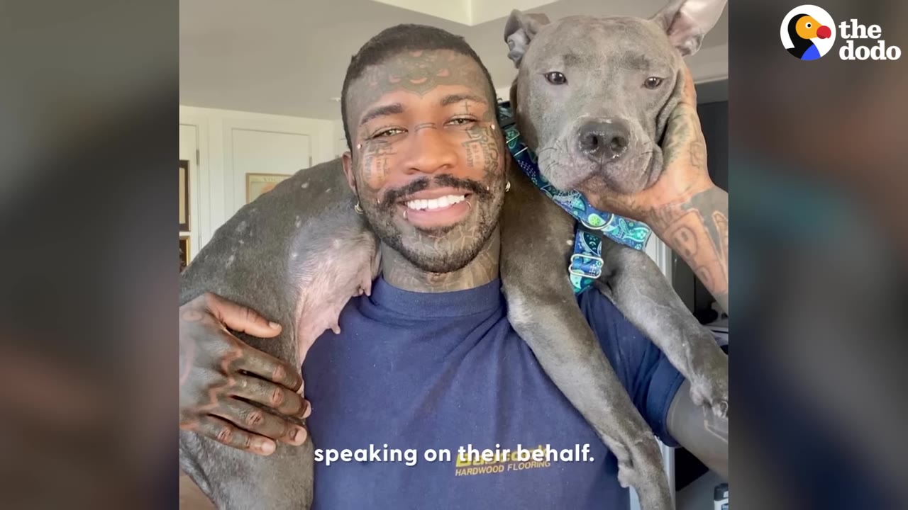 A tattooed man smiling brightly while holding a grey pit bull across his shoulders.
