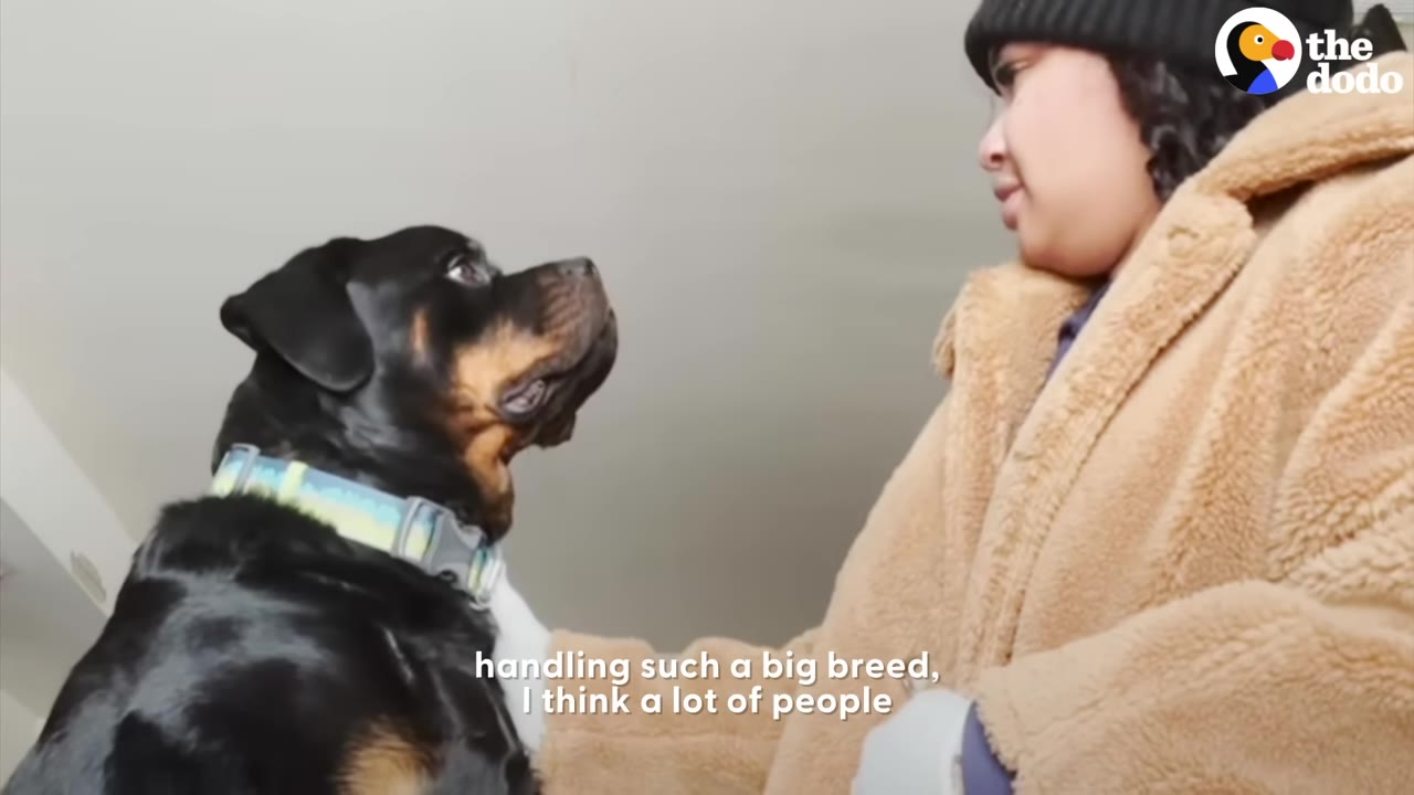 A woman wearing a tan fuzzy coat and black beanie looks down attentively at her Rottweiler, who gazes back up at her.