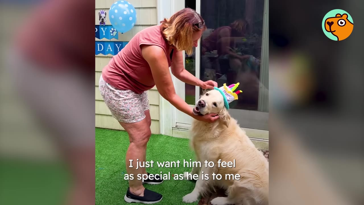 A woman putting a birthday hat with colorful candles on a golden retriever sitting outside.