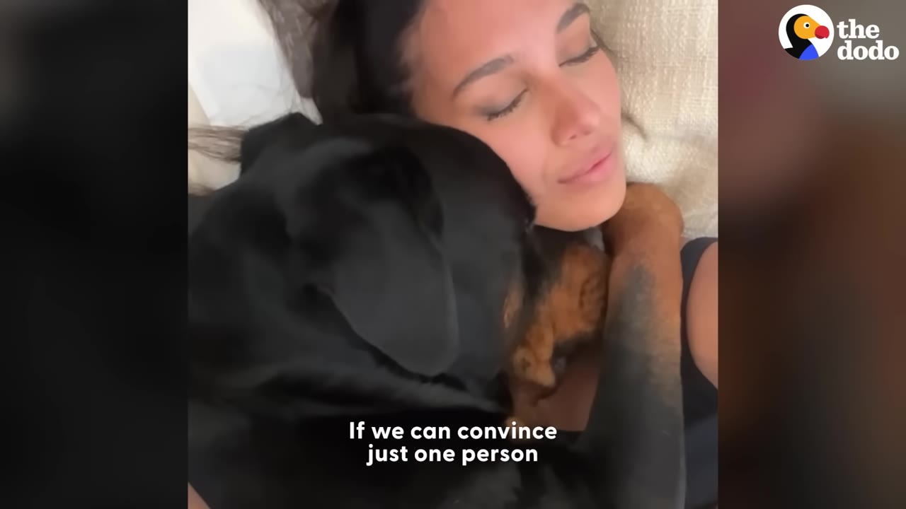 A large Rottweiler dog cuddles closely with a woman, resting its head on her chest as she smiles with her eyes closed.