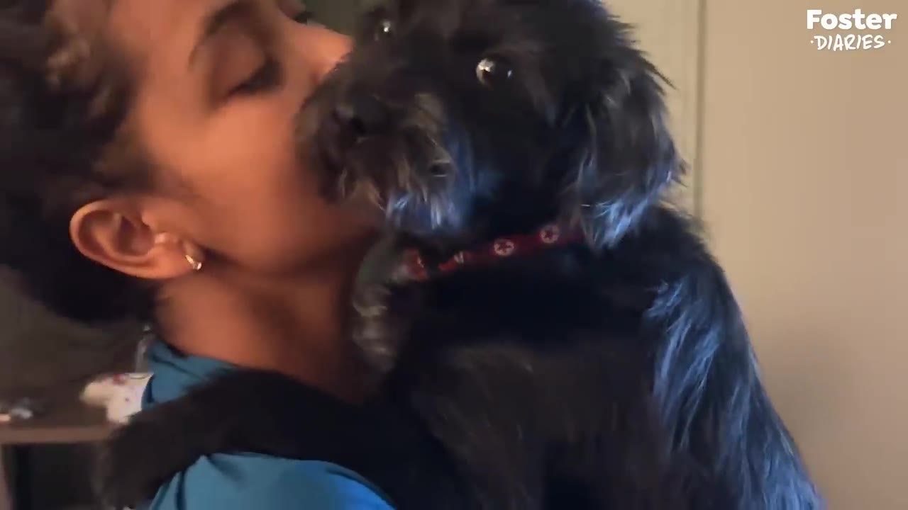 A close-up of a woman holding a small black dog close to her face, kissing its cheek.