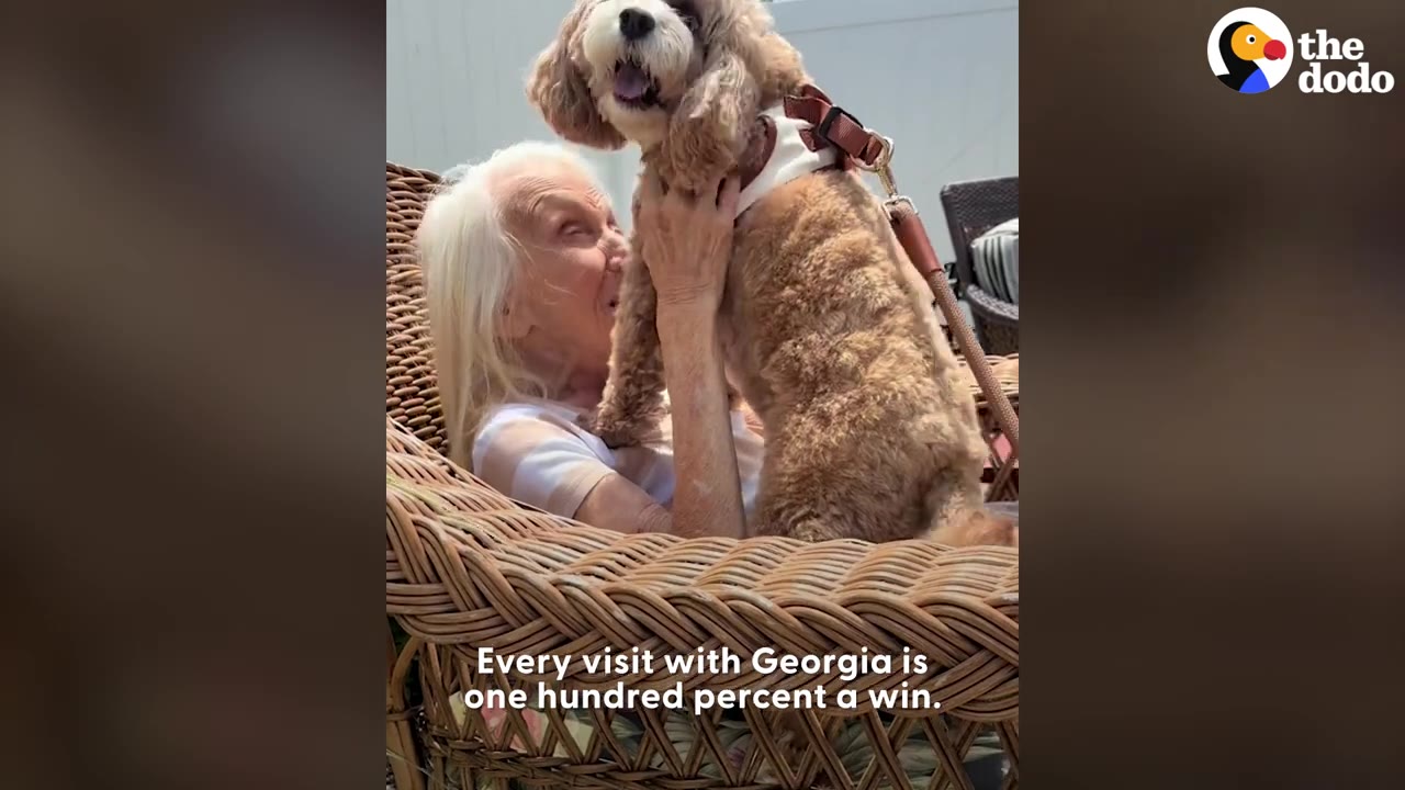 An elderly woman sitting outdoors in a wicker chair holding a small, fluffy brown dog wearing a harness.