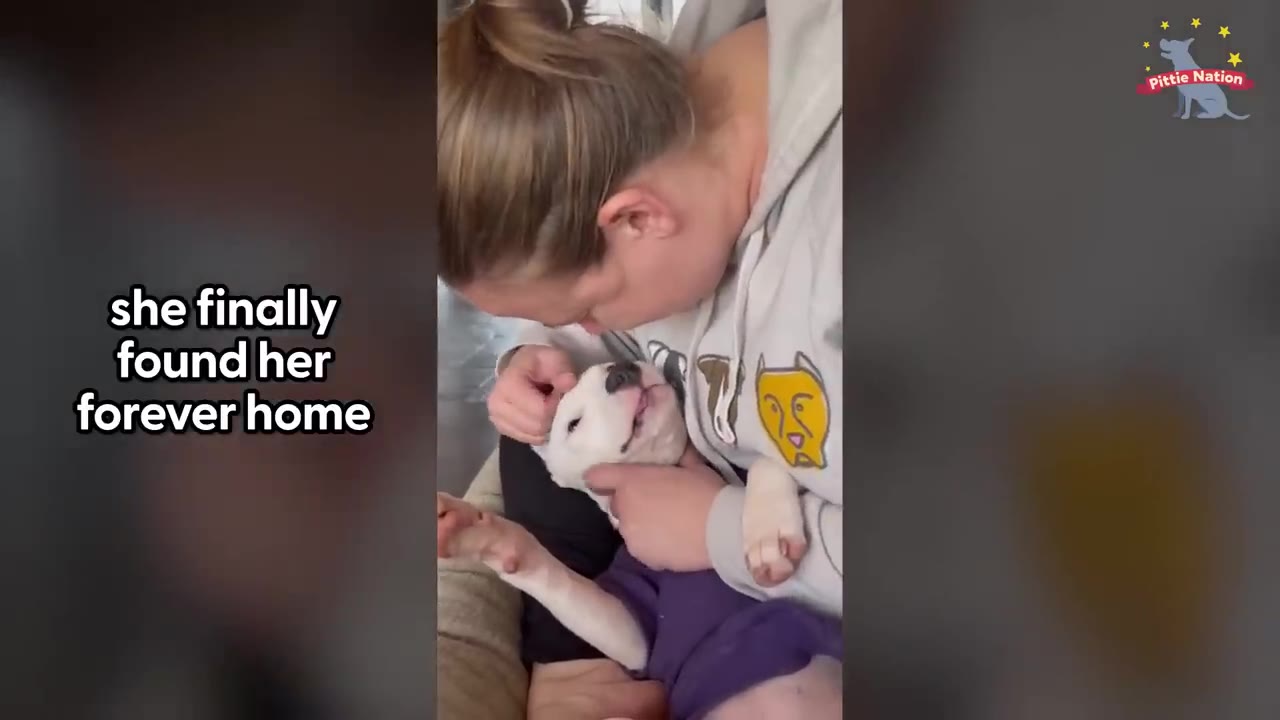 A woman holding and cuddling a small white dog wearing a purple shirt.