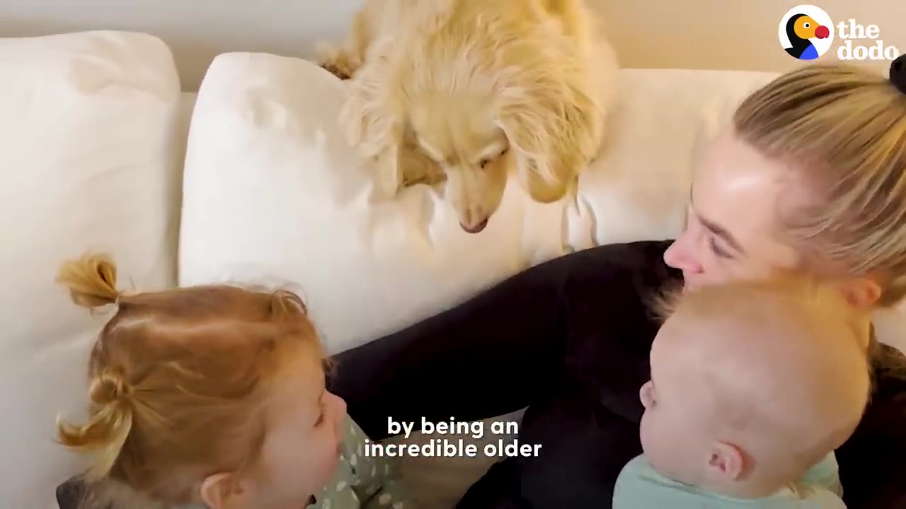 A long-haired blonde dachshund looks down from the top of a white couch toward a woman lying with two young children.