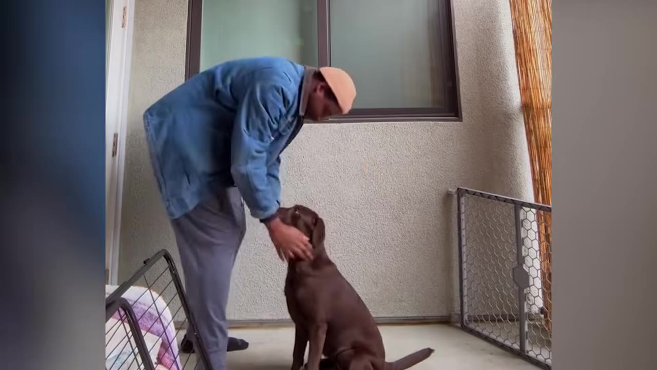 A man in a blue denim jacket and orange beanie bends down to pet a brown dog sitting on a patio.