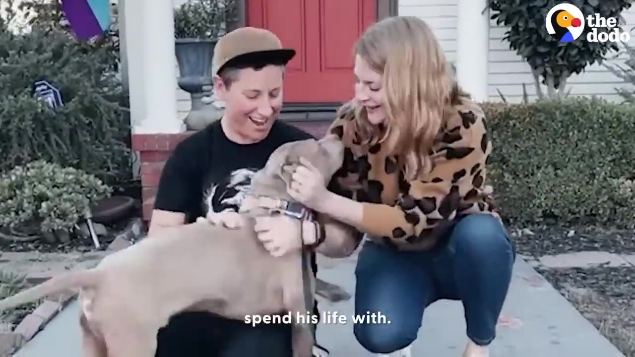 A tan dog receives enthusiastic pets and affection from two smiling people outside a house with a red door.
