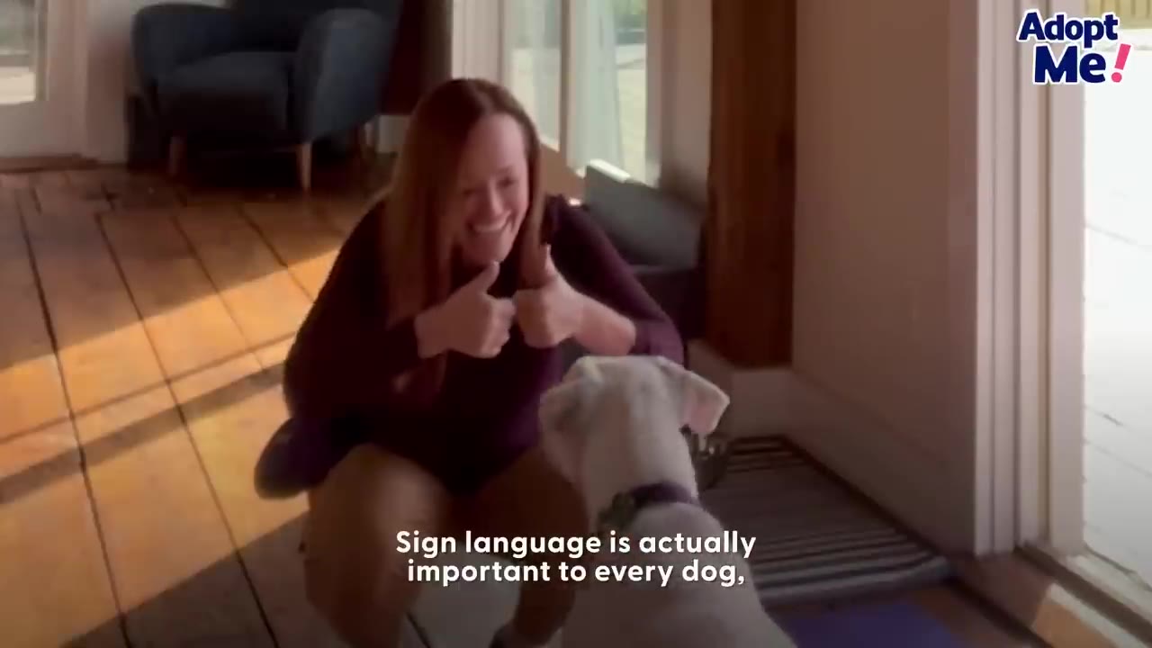 A woman crouches down on a wooden floor, smiling and giving two thumbs up to a white dog sitting in front of her.