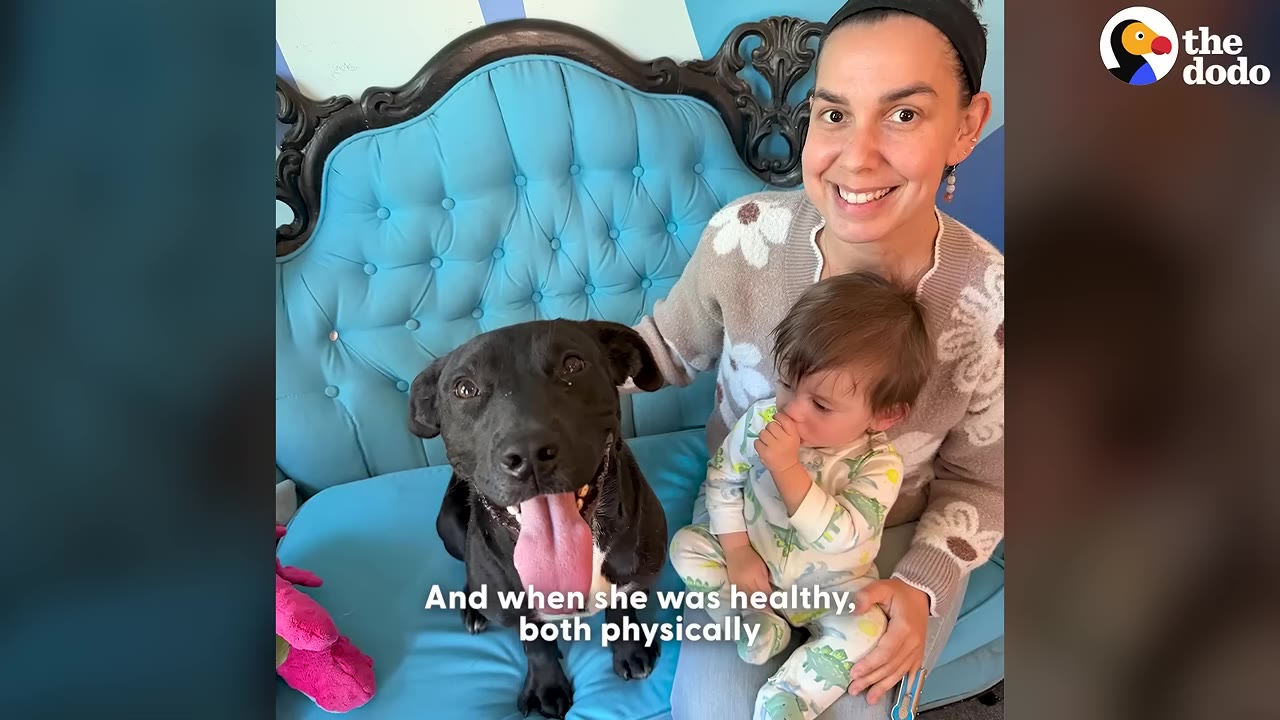 A happy black dog with its tongue out sits on a blue tufted couch next to a smiling woman holding a young child.