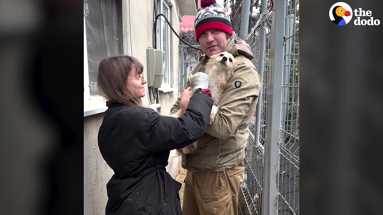 A man in a winter hat holds a small, light-colored dog while a woman in a black jacket gently touches the dog's bandaged front paw.