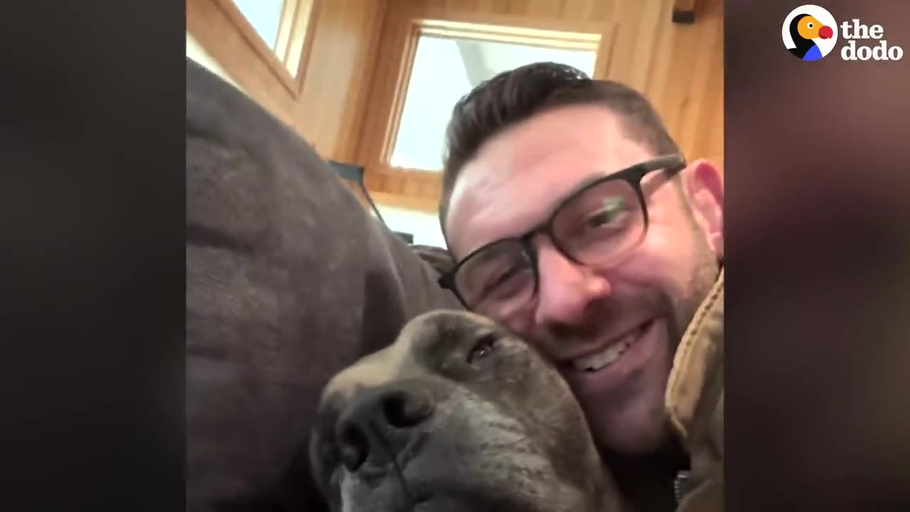 A man wearing glasses smiles while cuddling close to a large dog on a couch indoors.