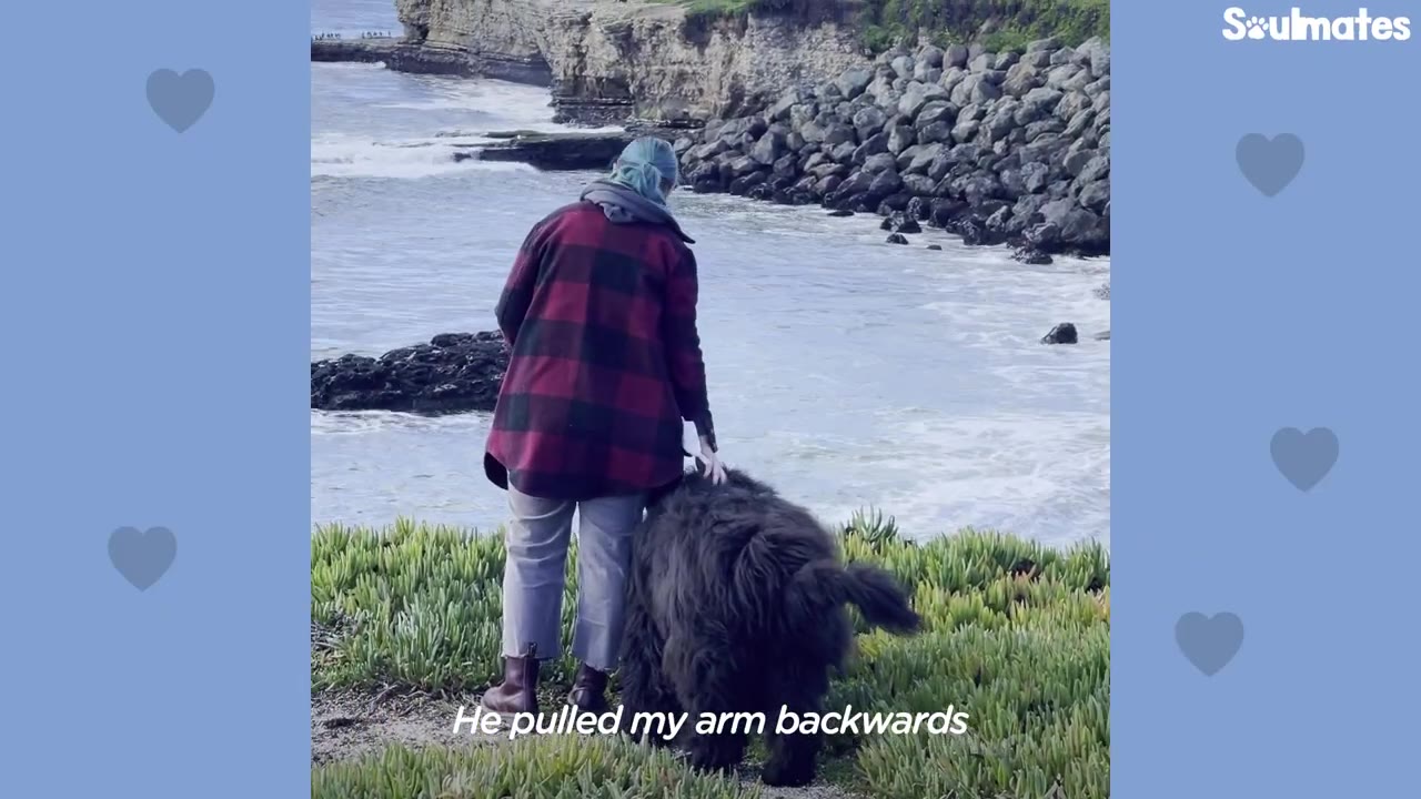 A person in a red and black plaid jacket stands near a grassy cliff's edge overlooking the ocean, with a large, fluffy black dog standing beside them.