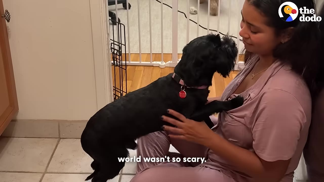 A small black dog stands on its hind legs with its front paws resting on the chest of a woman sitting on a tiled floor, who gently holds the dog's side.