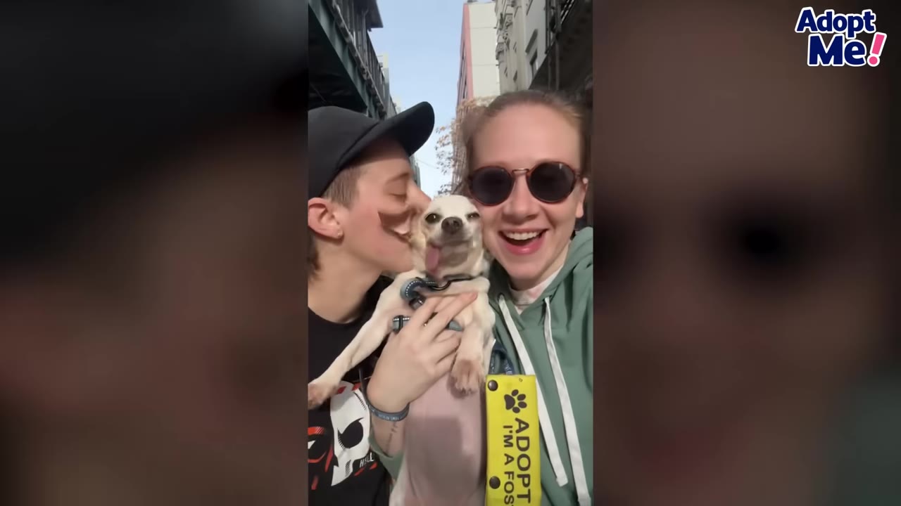 A person kisses a small white senior dog on the head while another person wearing sunglasses smiles beside them outdoors.