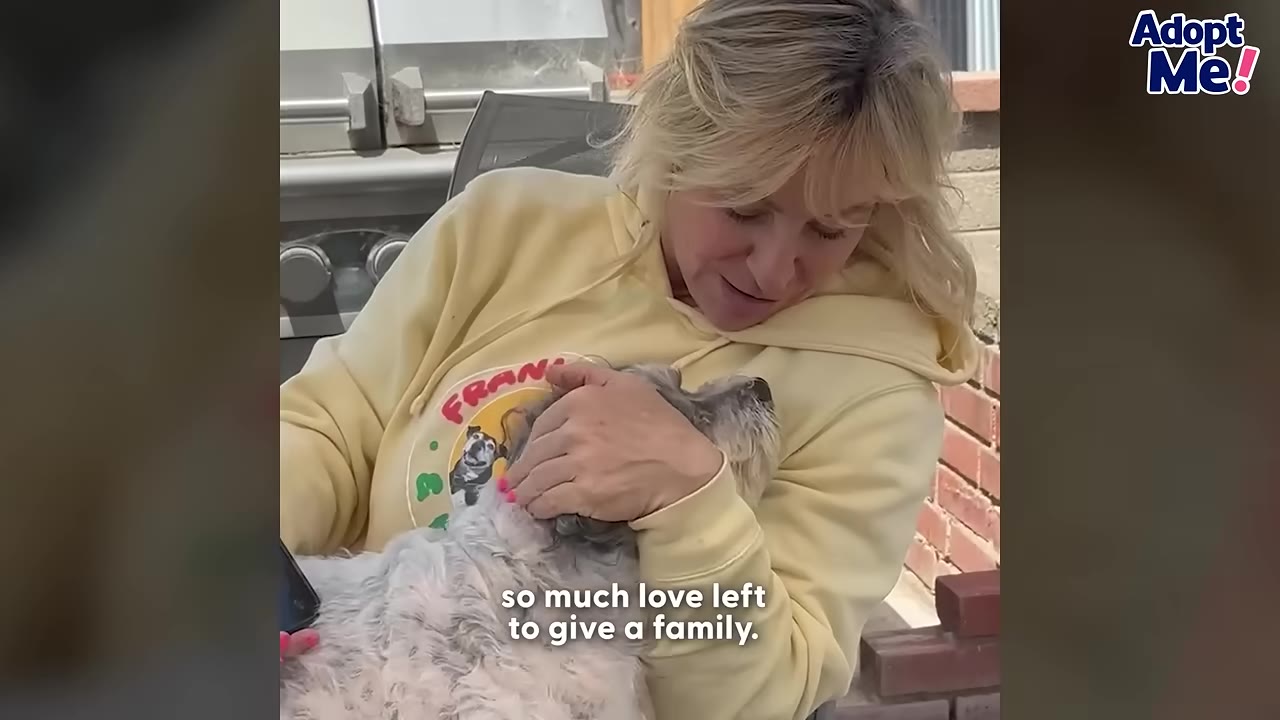 A woman in a yellow hoodie cradles a fluffy grey and white dog in her lap, gently holding its head as she looks down at it.