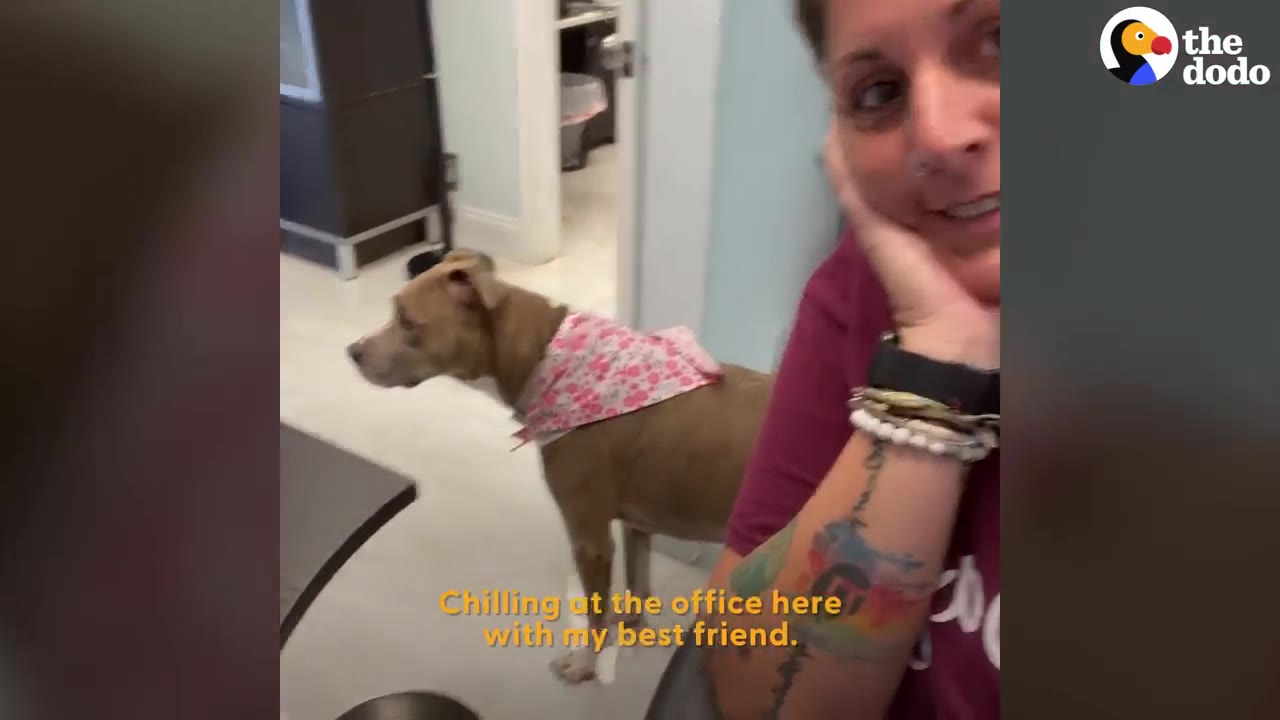 A smiling woman with tattoos on her arm rests her chin on her hand as she poses next to her brown dog, who is wearing a pink floral bandana.