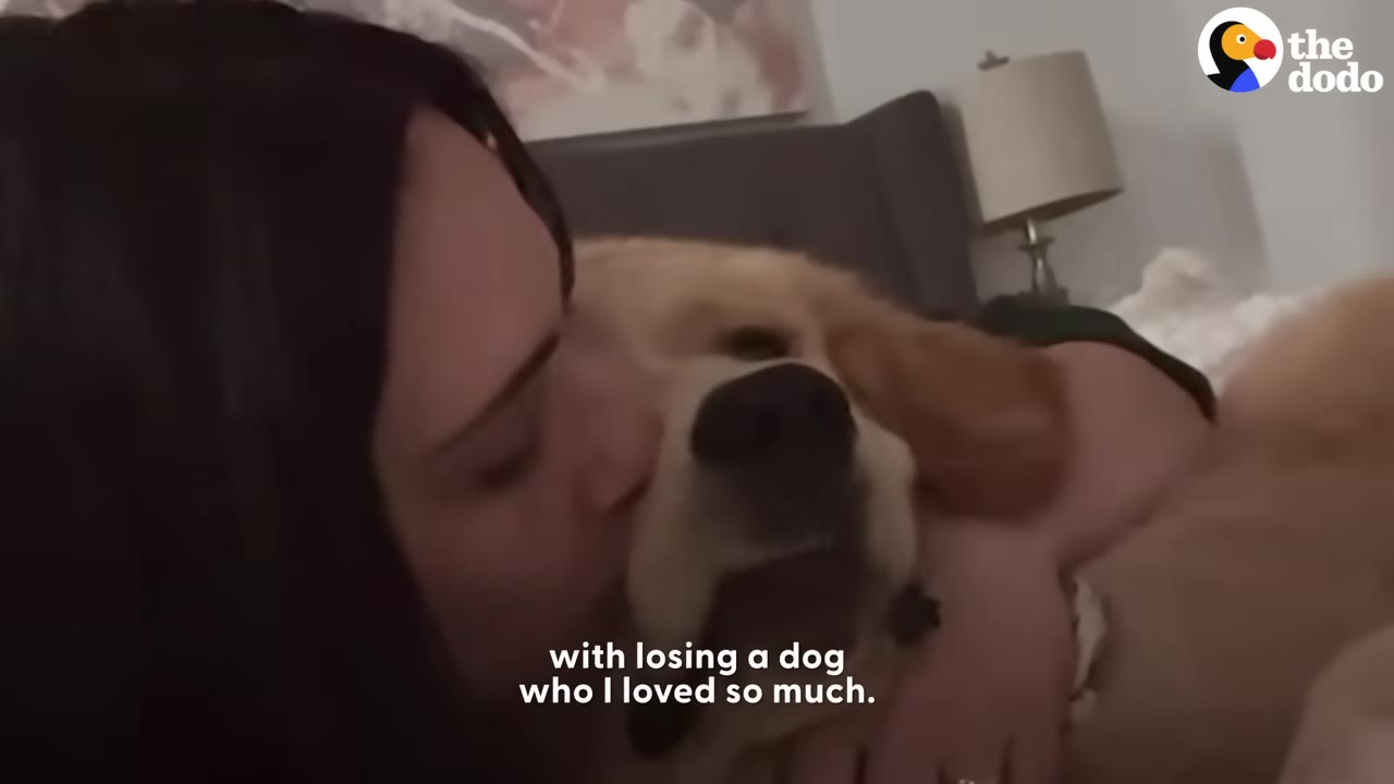 A woman lying down and kissing the face of a golden dog who is cuddling with her.