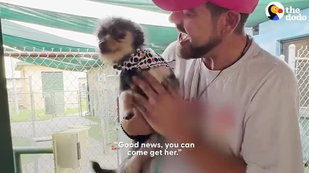 A man in a pink hat smiling brightly as he holds a small, fluffy dog wearing a patterned bandana.