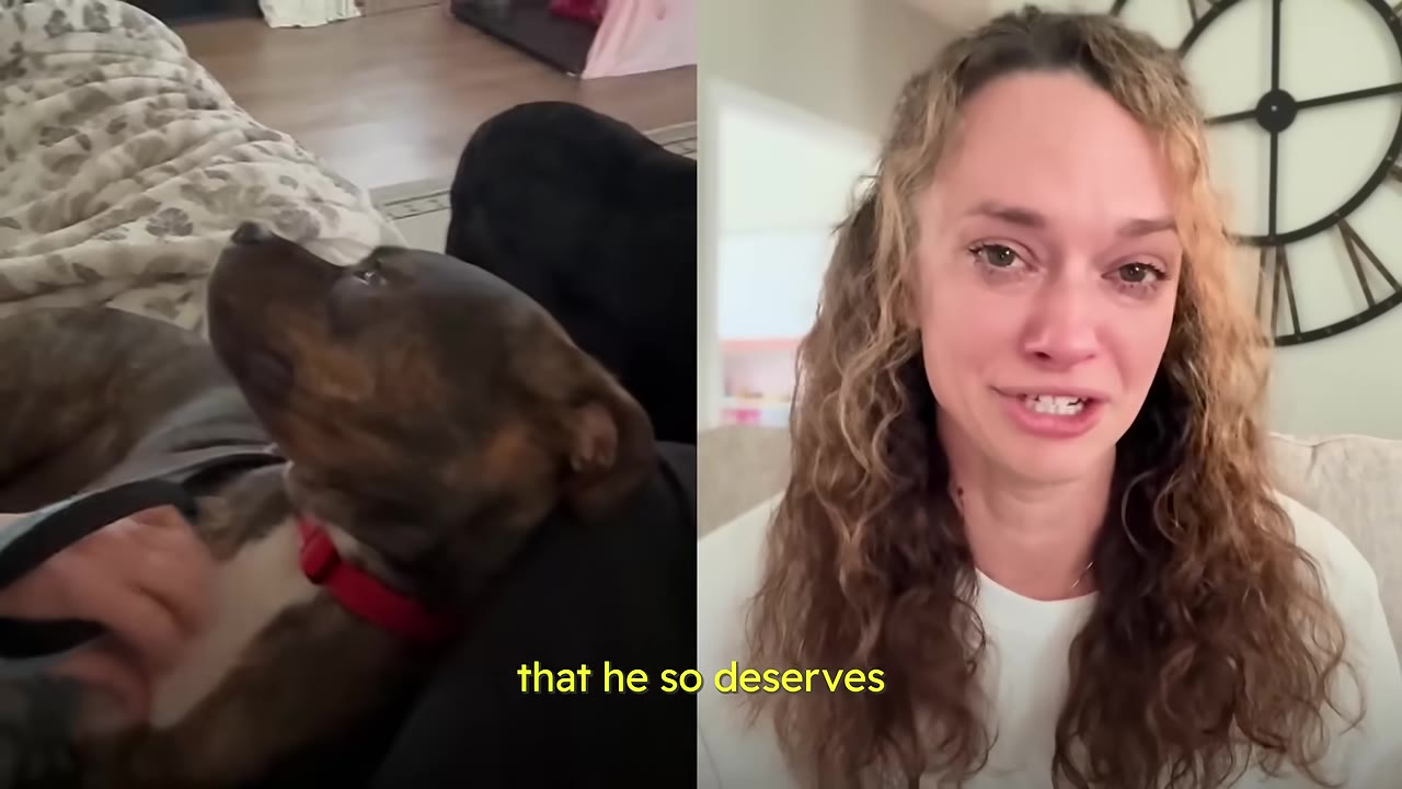 A split-screen image showing a brindle dog with a red collar being petted on the left, and a woman with curly blonde hair speaking to the camera on the right.
