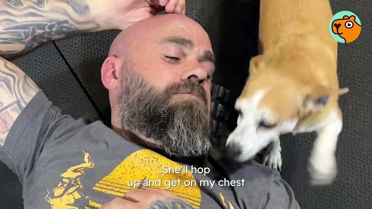 A tattooed man with a beard lying on a gym mat while a small tan and white dog rests on his chest.