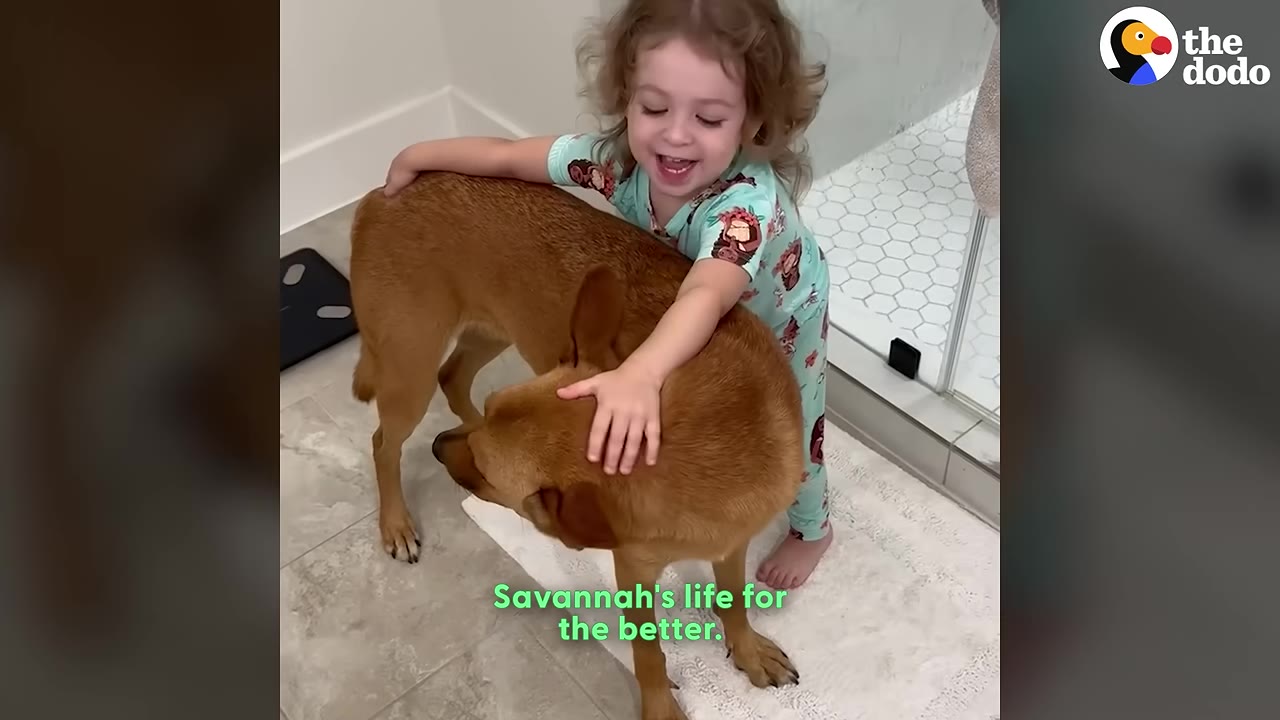 A young girl in light blue pajamas smiles joyfully as she hugs a medium-sized brown dog in a bathroom.