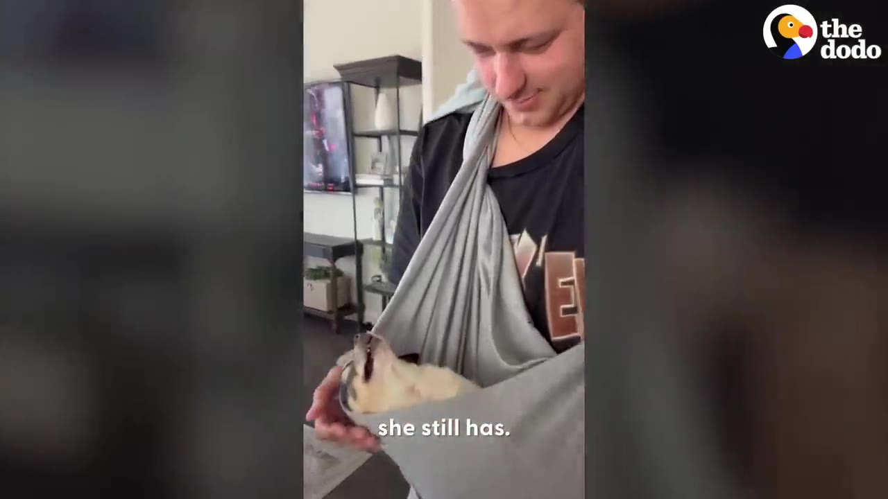 A man cradling a small dog safely inside a fabric sling.