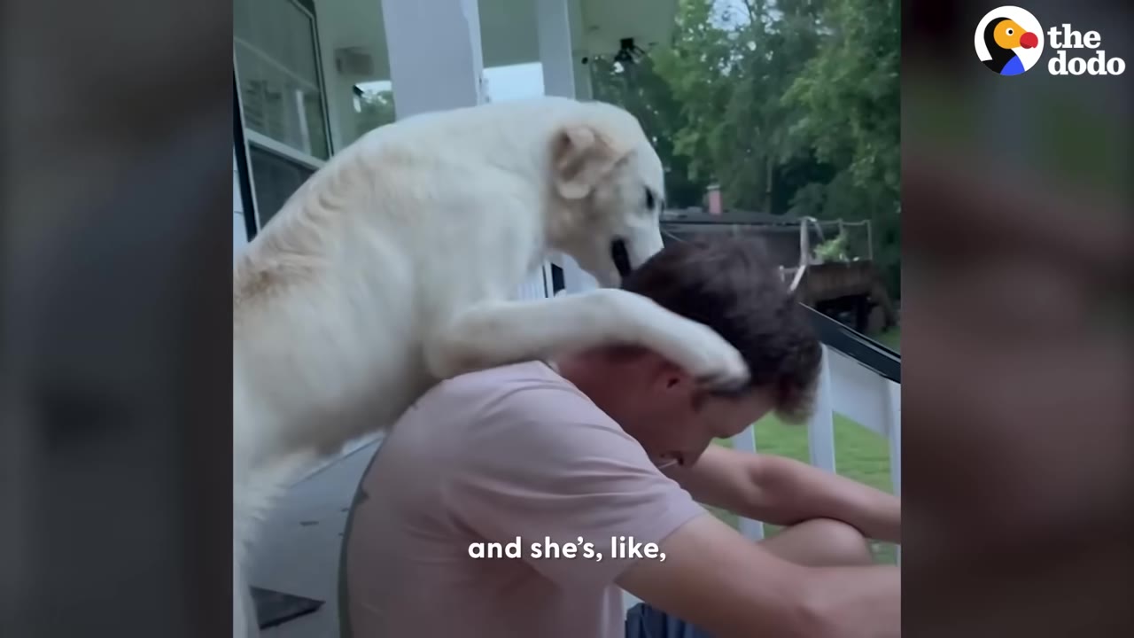 A large white dog resting its paw over the head and shoulders of a man sitting on porch stairs.