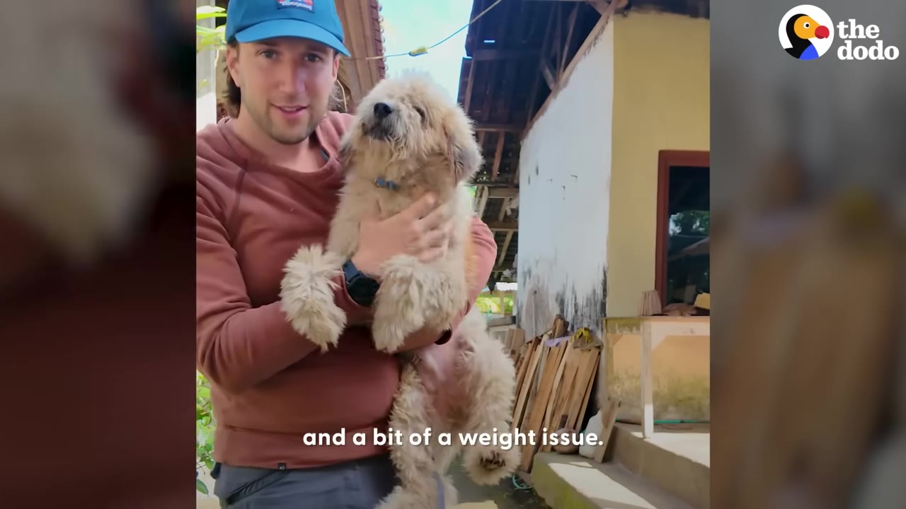 A man wearing a blue baseball cap and brown sweater holds a fluffy, light brown dog in his arms outside a house.