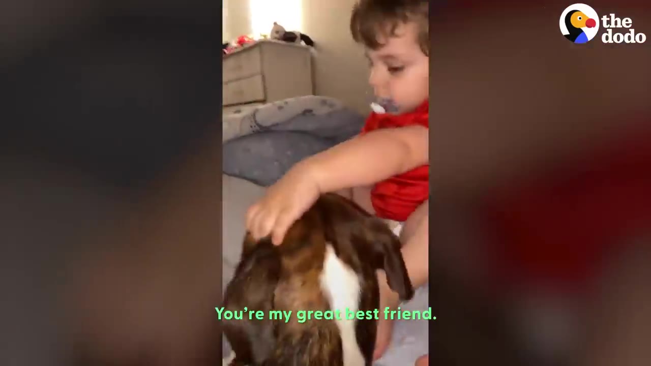 A young toddler in a red shirt gently pets a brindle and white dog sitting beside him on a bed.