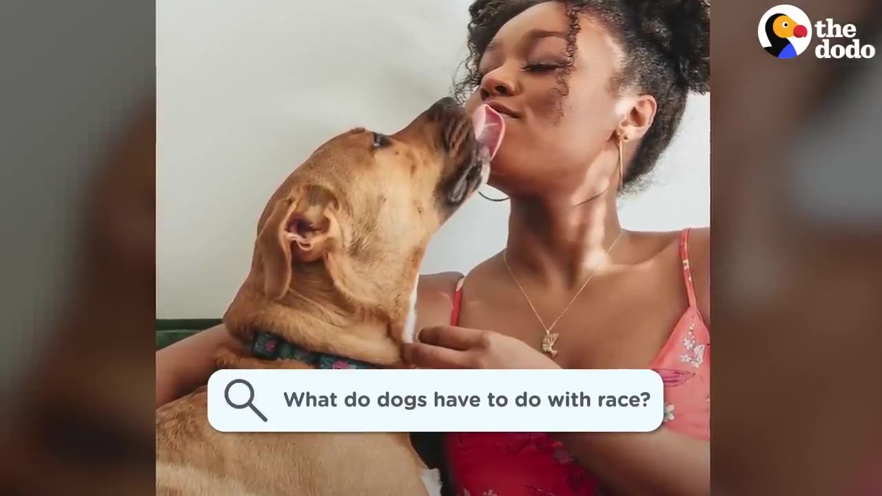 A woman cuddling her tan dog who gives her a kiss, with a text graphic asking 'What do dogs have to do with race?'