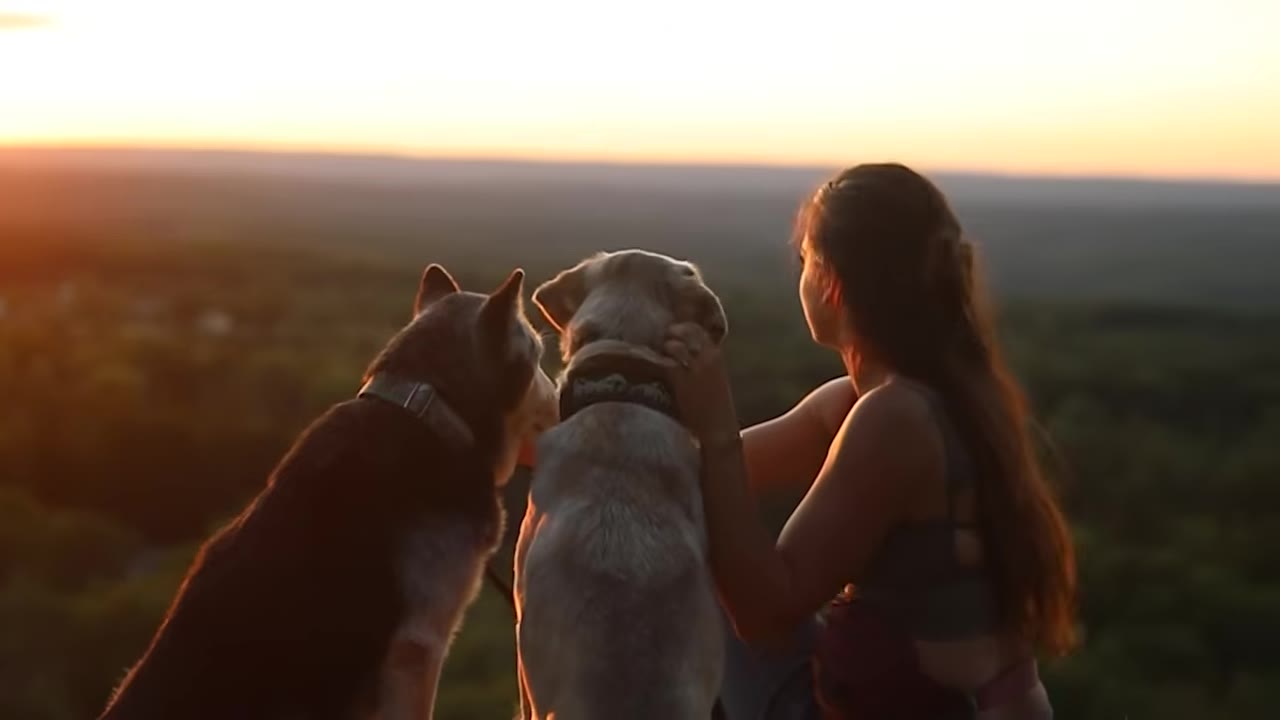 A woman sitting beside a husky and another dog at sunset, looking out over a wide landscape.