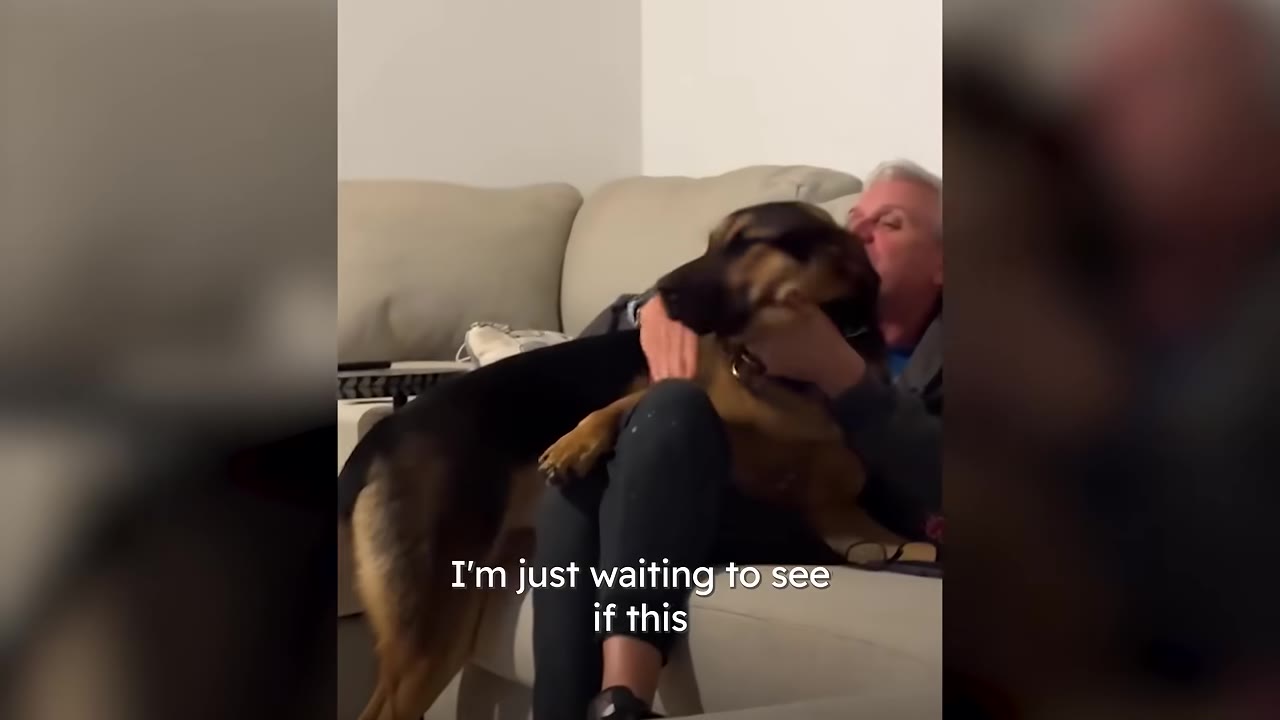 A German Shepherd dog sits on a couch, leaning into a man who is hugging him.