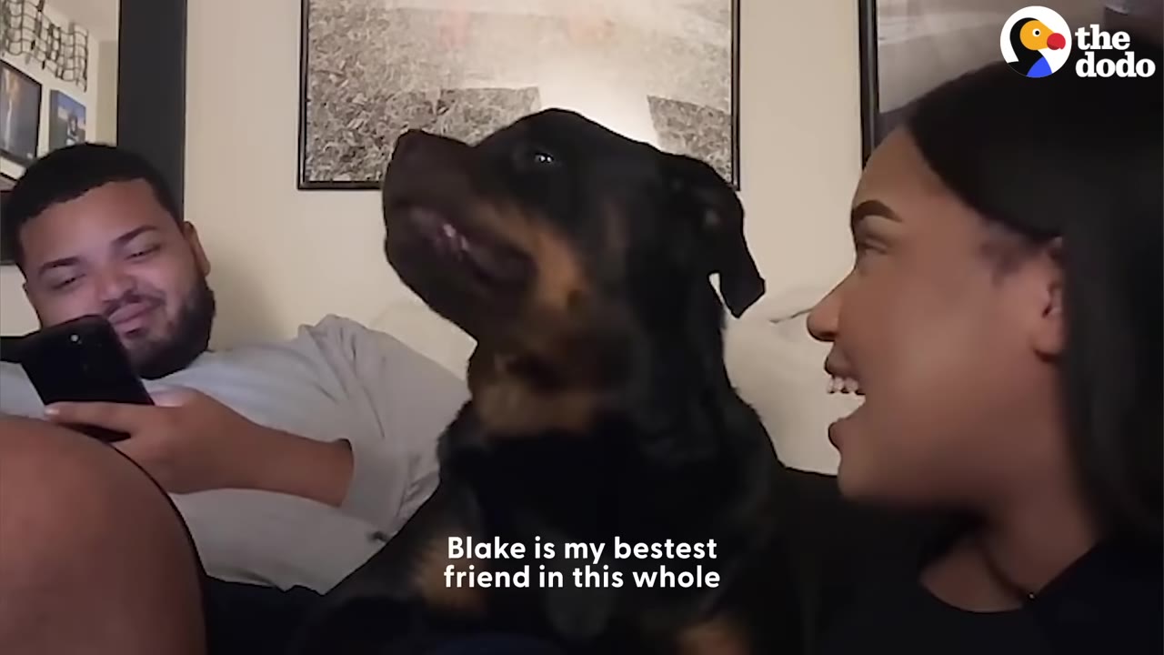 A smiling woman interacting warmly with a black and tan dog sitting next to her on a sofa.