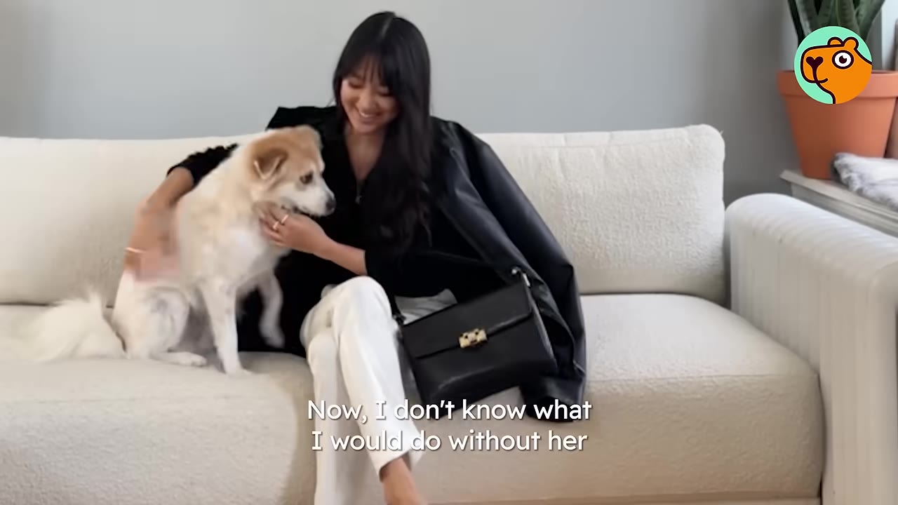 A smiling woman sitting on a white sofa indoors, petting a light brown and white dog sitting beside her.