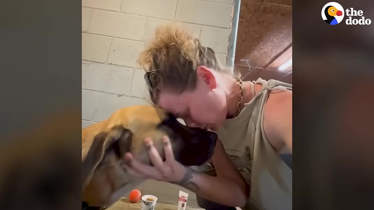 A woman with blonde hair tied up gently presses her forehead against the head of a large tan dog, cradling its muzzle in her hand in a tender moment.