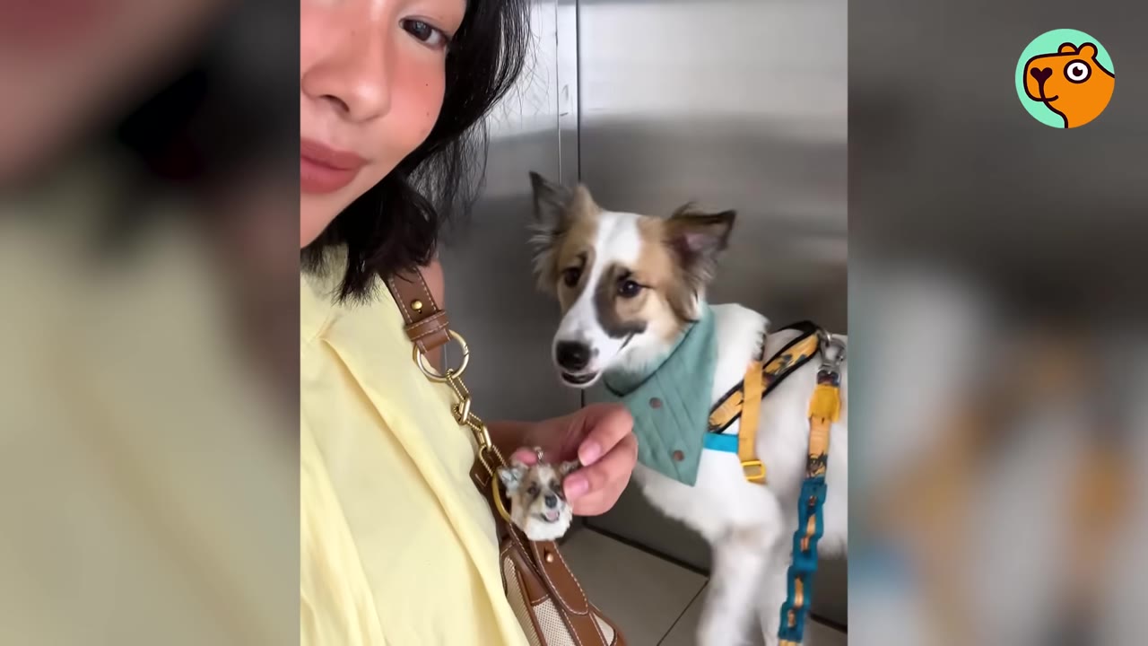 A woman taking a selfie next to a brown and white dog wearing a green bandana and a yellow harness.