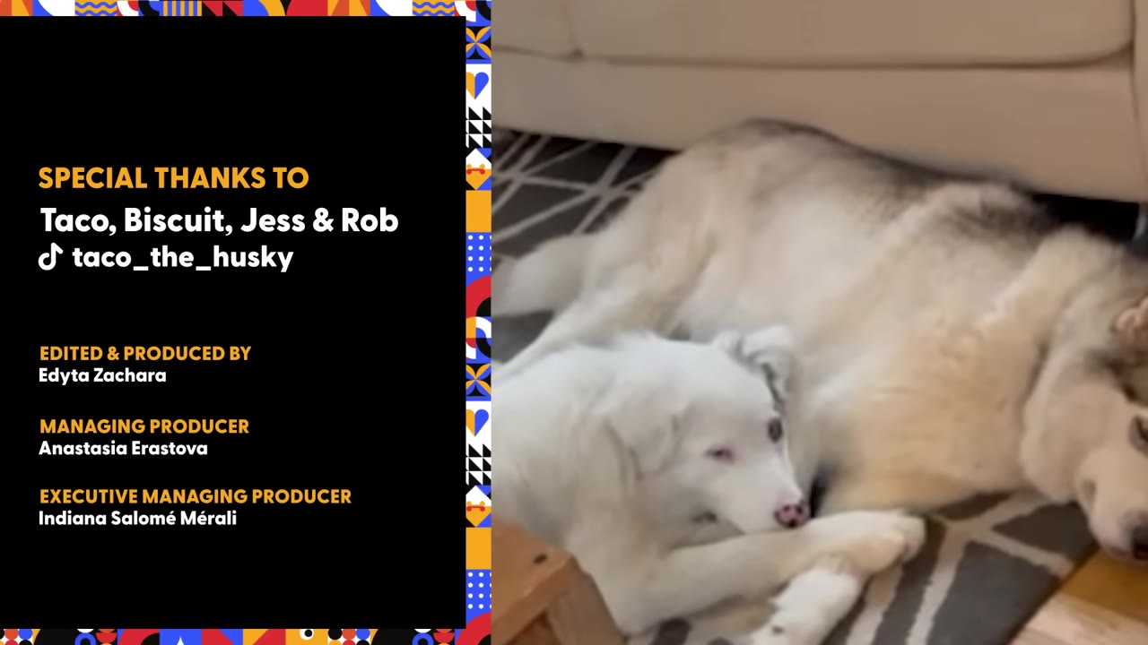A white dog and a fluffy husky-like dog lie peacefully together on a patterned rug indoors.