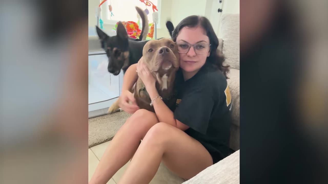 A woman wearing glasses sitting on the floor hugging a brown dog while a dark German Shepherd mix dog stands behind them.
