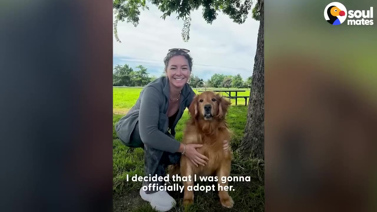 A woman smiling as she kneels beside a golden retriever outdoors near a tree.