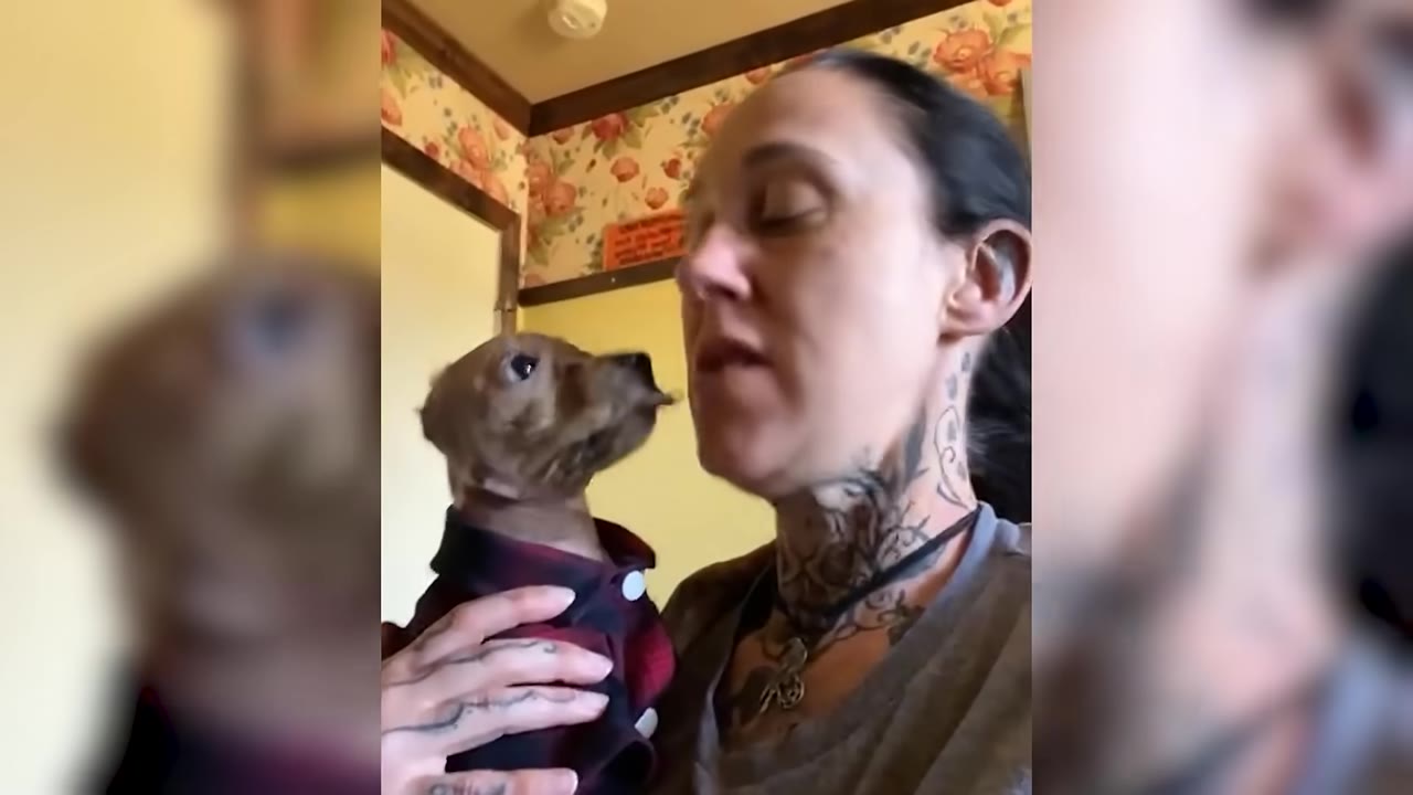 A woman with neck and hand tattoos holds a small brown dog wearing a red and black plaid shirt as the dog looks up at her face.