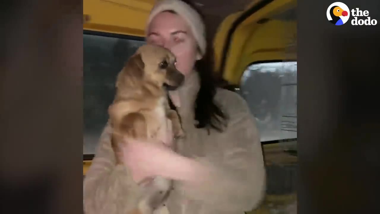 A person wearing a beanie and fleece coat holds a small brown dog inside a vehicle.