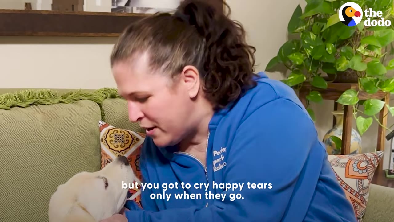 A woman in a blue sweatshirt leaning over to tenderly stroke a white dog sitting on a couch beside her.