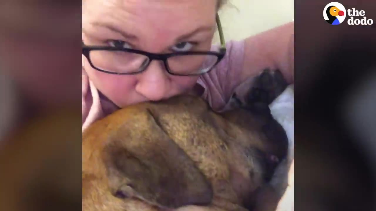 A woman wearing glasses cuddles and kisses a brown dog resting beside her.
