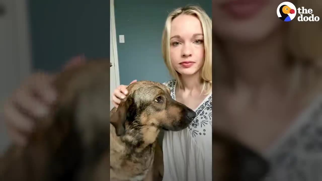 A blonde woman gently petting a brown dog on the head.