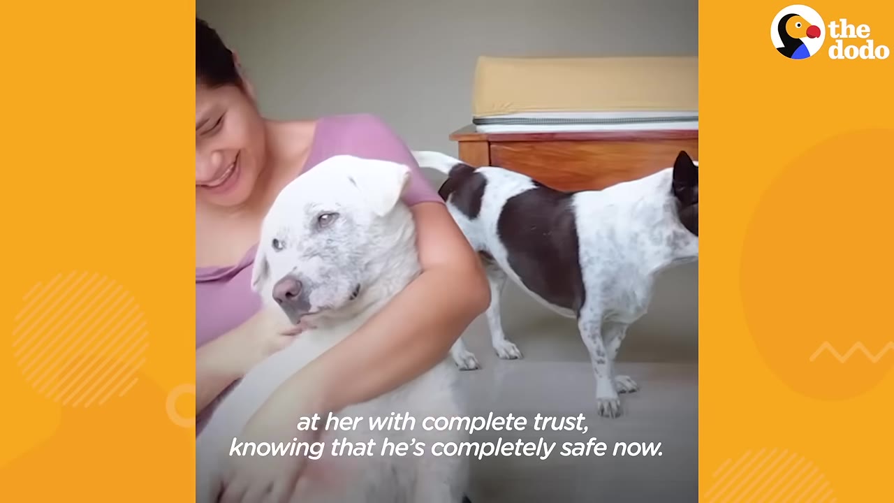 A close-up of a smiling woman holding a white dog in her arms as the dog looks up at her.