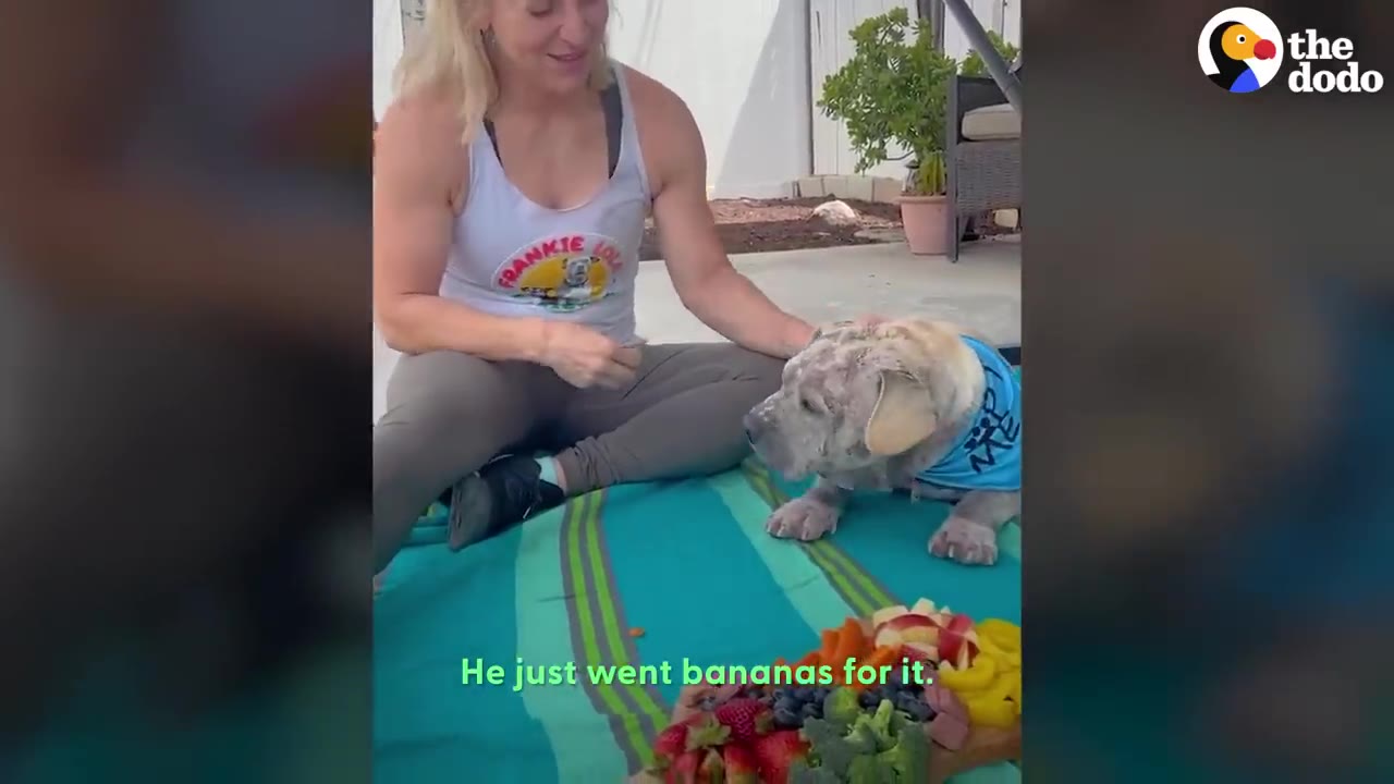 A woman sitting on a blanket next to a dog wearing a blue bandana, with a platter arranged with fresh fruits and vegetables in front of them.