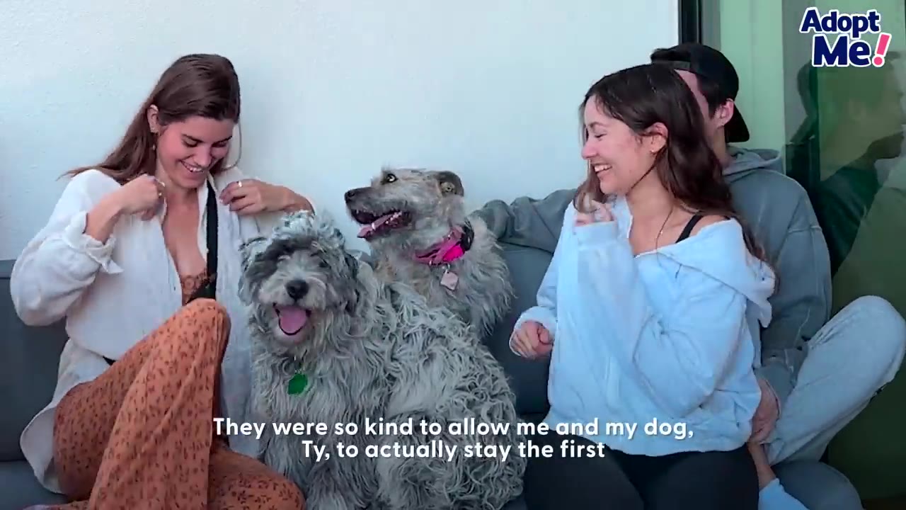 A smiling family of three sits on an outdoor couch with two scruffy dogs, one grey and one brown.