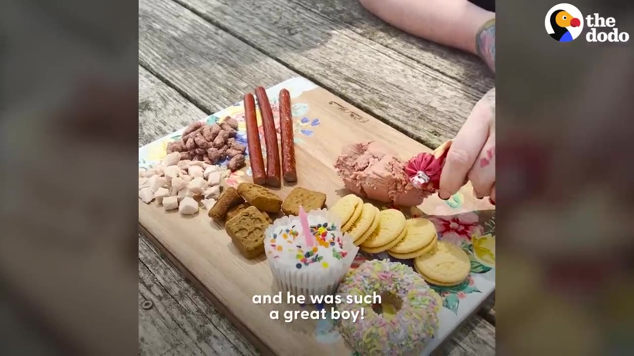 A wooden board decorated with floral designs filled with various dog treats, meat sticks, biscuits, a frosted cupcake with a pink candle, and a dog donut.