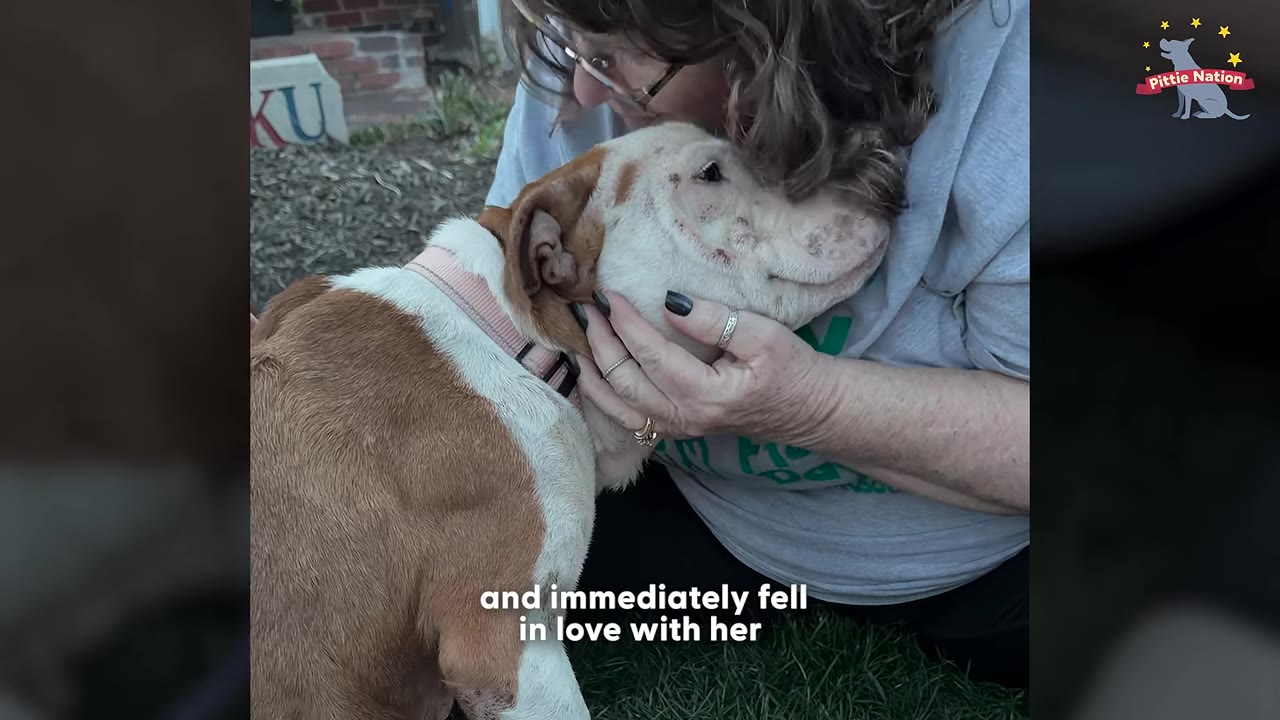 A woman with glasses hugs and kisses a brown and white dog on the head as she cradles its face in her hands.