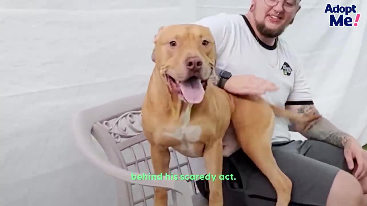 A happy tan dog with its mouth open sitting near a smiling man who is gently petting its back.